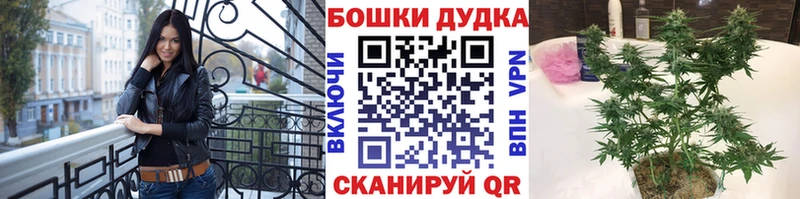 МАРИХУАНА планчик  Купить закладки  Отрадное 
